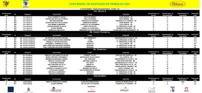 ET - Campeonato Brasileiro 2022.xlsx